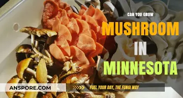 Growing Mushrooms in Minnesota: Tips for a Successful Harvest