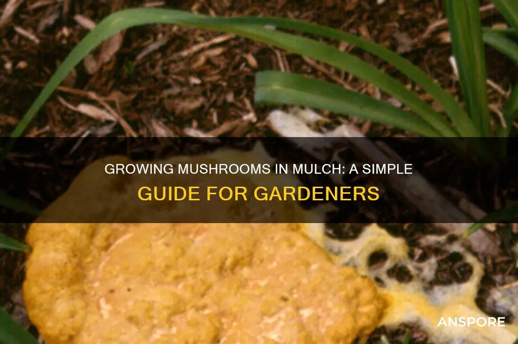 can you grow mushrooms in mulch