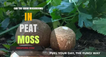 Growing Mushrooms in Peat Moss: A Comprehensive Guide for Beginners