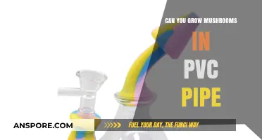 Growing Mushrooms in PVC Pipes: A Creative Cultivation Guide