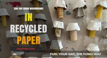 Eco-Friendly Mushroom Cultivation: Growing Fungi in Recycled Paper