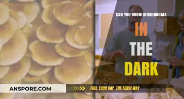 Growing Mushrooms in Darkness: Unveiling the Secrets of Lightless Cultivation