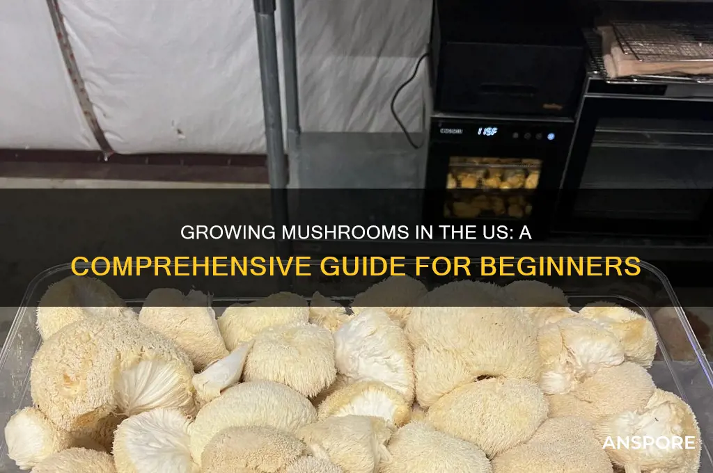 can you grow mushrooms in the us