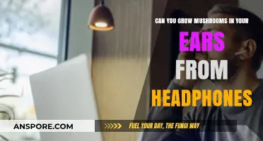 Headphones and Ear Fungus: Debunking the Myth of Mushroom Growth