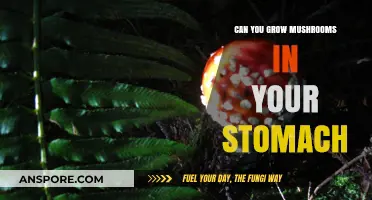 Can Mushrooms Grow in Your Stomach? Debunking Myths and Facts