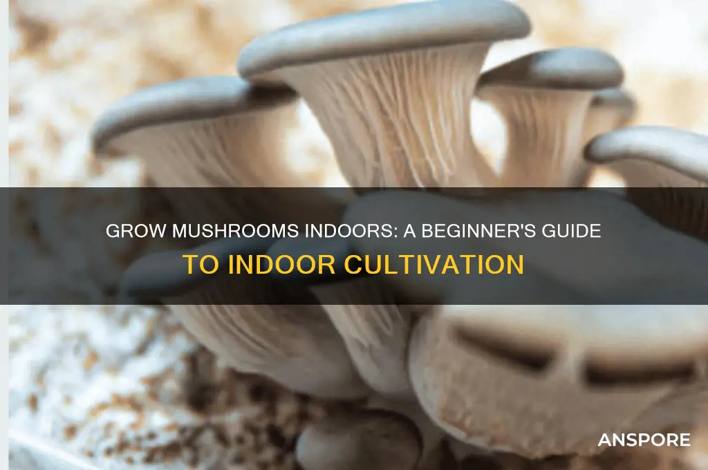 can you grow mushrooms inside