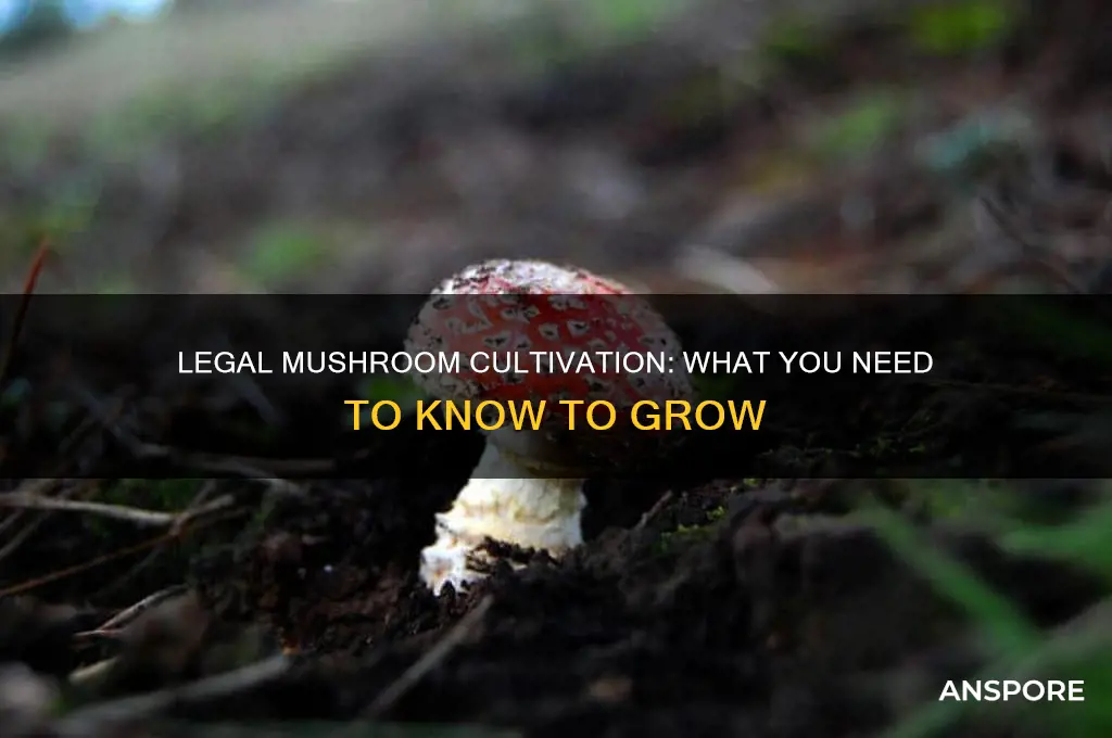 can you grow mushrooms legally
