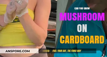 Growing Mushrooms on Cardboard: A Simple, Eco-Friendly Method Explained