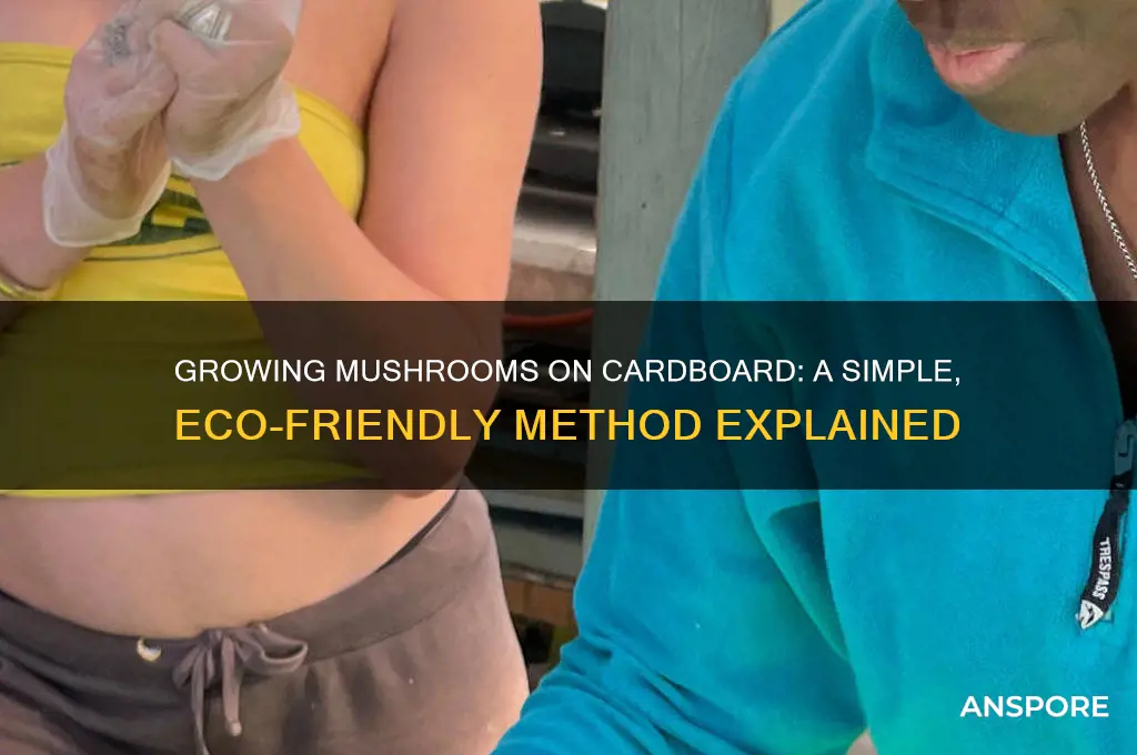 can you grow mushrooms on cardboard