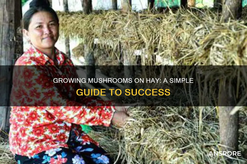 can you grow mushrooms on hay