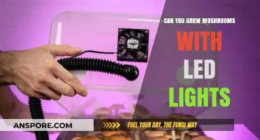 Growing Mushrooms with LED Lights: A Comprehensive Guide