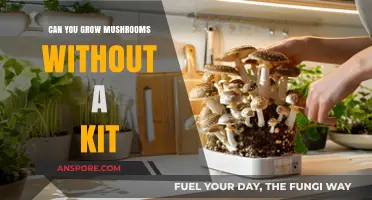 Growing Mushrooms Without a Kit: A Beginner's DIY Guide