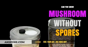 Growing Mushrooms Without Spores: Alternative Methods for Cultivation