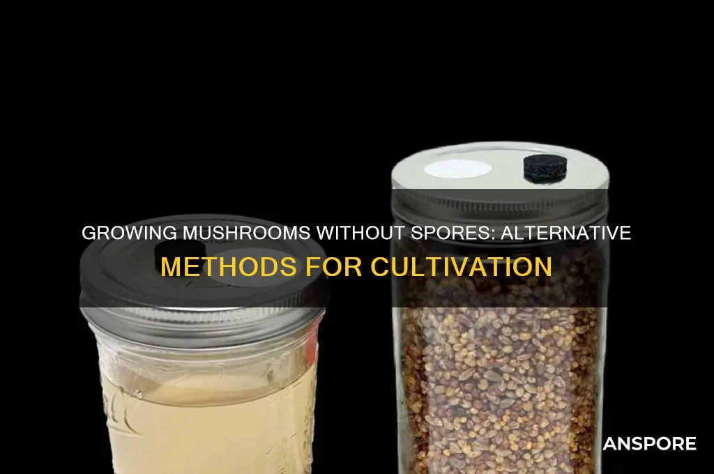 can you grow mushrooms without spores