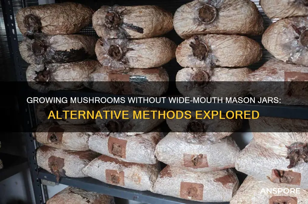 can you grow mushrooms without wide mouth mason jar
