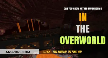 Growing Nether Mushrooms in the Overworld: Is It Possible?