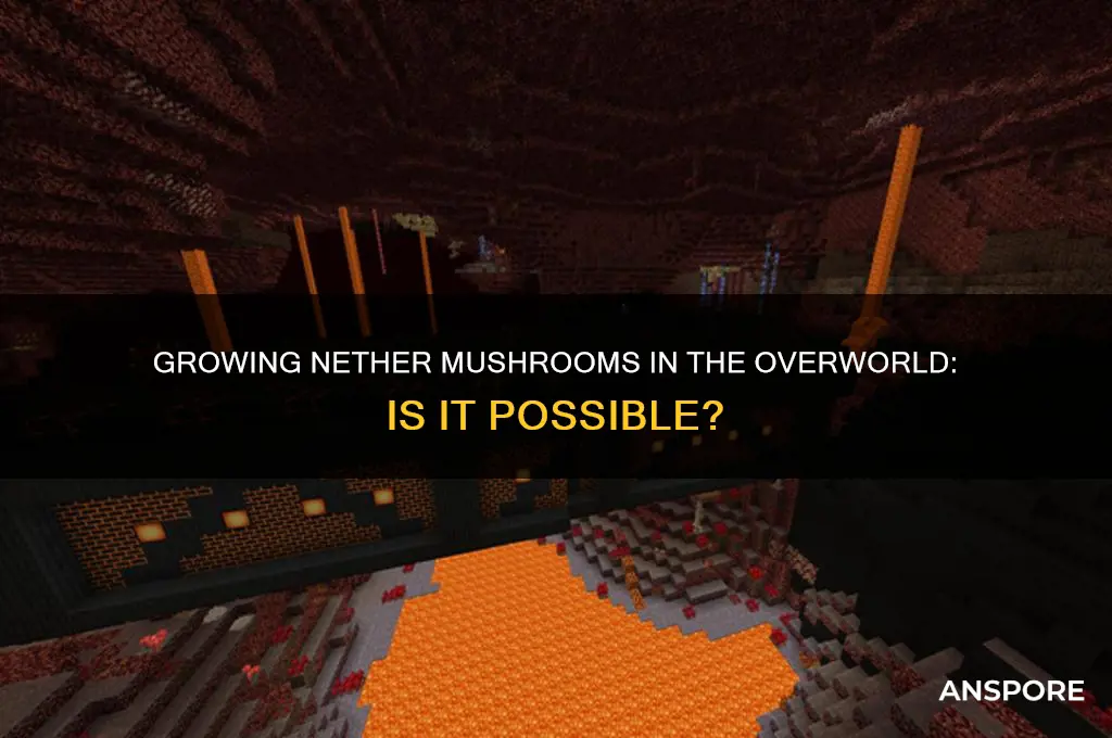 can you grow nether mushrooms in the overworld