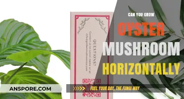 Growing Oyster Mushrooms Horizontally: Tips, Techniques, and Best Practices