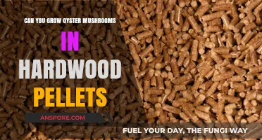 Growing Oyster Mushrooms in Hardwood Pellets: A Viable Substrate?