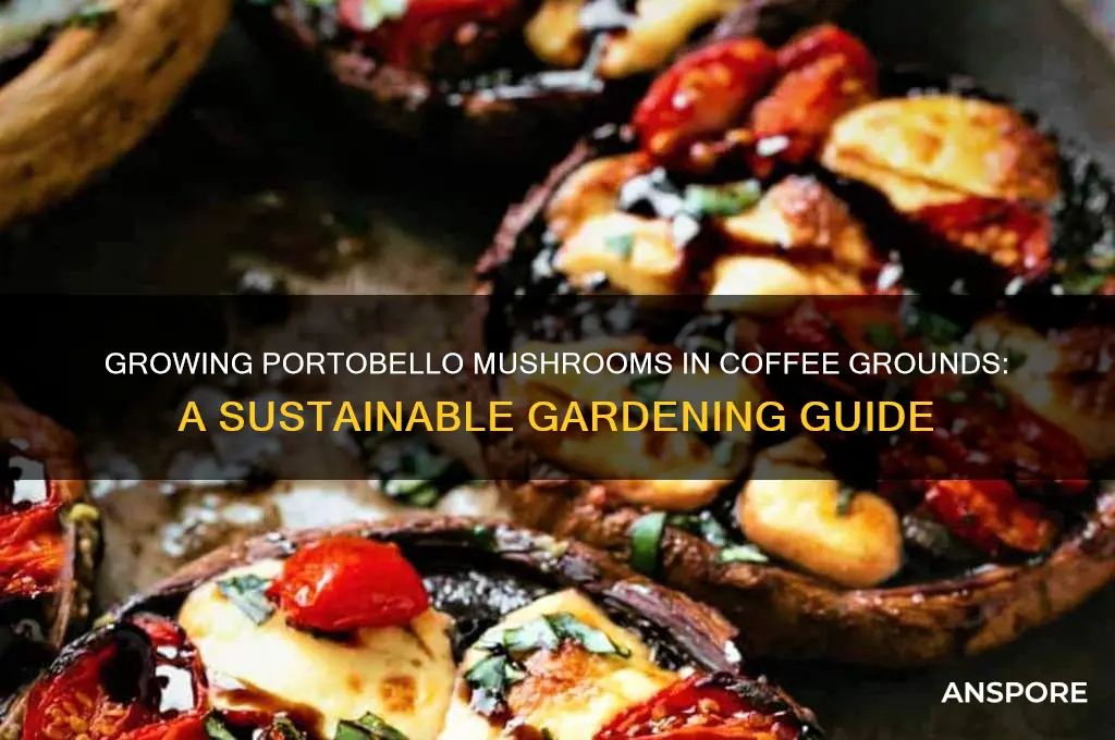 can you grow portobello mushrooms in coffee grounds