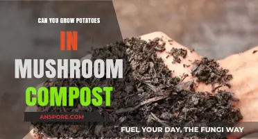 Growing Potatoes in Mushroom Compost: Benefits, Tips, and Best Practices