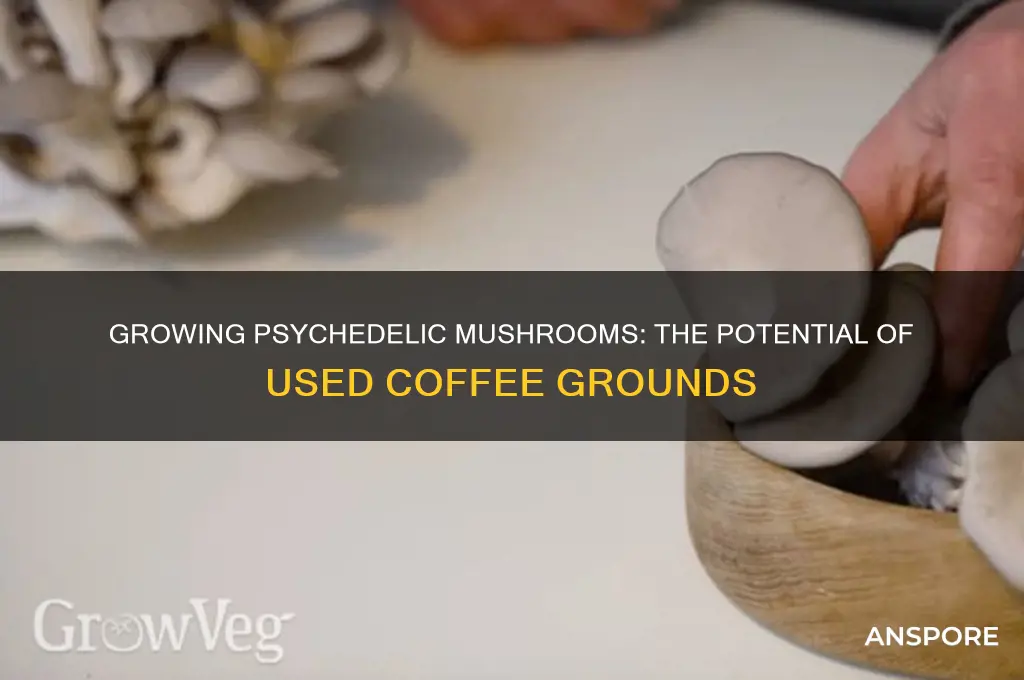 can you grow psychedelic mushrooms with used coffee grounds