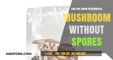 Growing Psychedelic Mushrooms: Alternative Methods Without Spores Explained