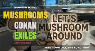 Growing Puffball Mushrooms in Conan Exiles: Tips and Tricks