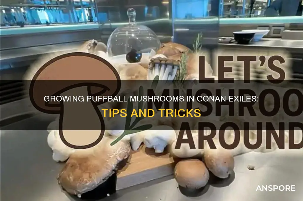 can you grow puffball mushrooms conan exiles