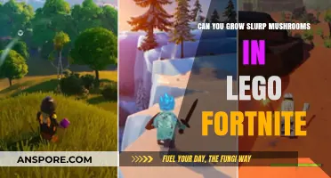 Growing Slurp Mushrooms in LEGO Fortnite: A Creative Building Adventure