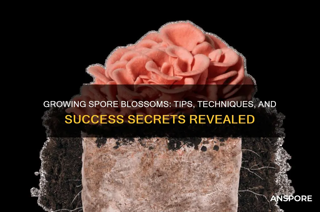 can you grow spore blossoms