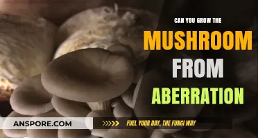 Growing Aberration Mushrooms: A Guide to Cultivating Unique Fungal Species