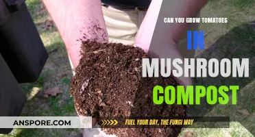 Growing Tomatoes in Mushroom Compost: Benefits, Tips, and Best Practices