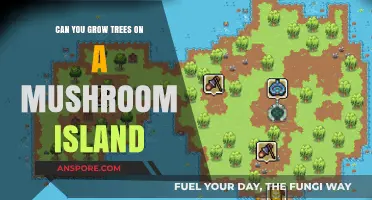 Growing Trees on Mushroom Islands: Possibilities and Challenges Explored