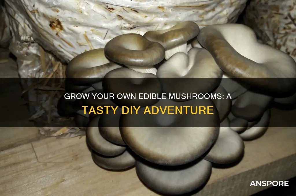 can you grow your own mushrooms to eat