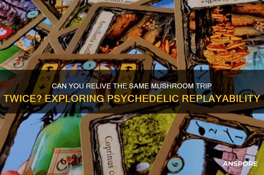 can you habe the same mushroom trip twice
