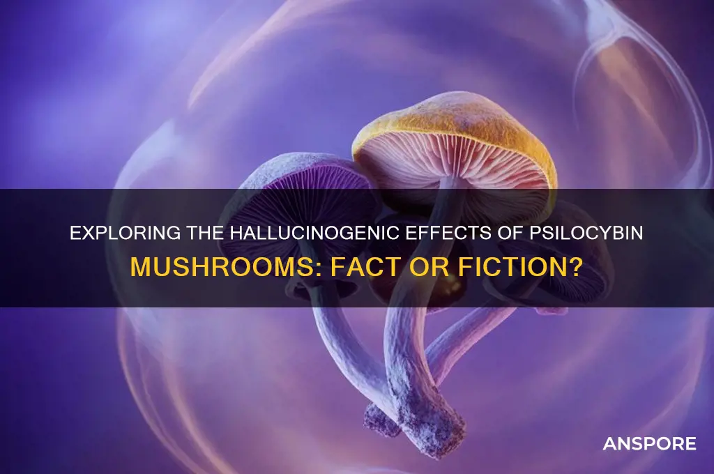 can you hallucinate on mushrooms