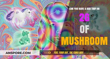 Exploring the Risks: Can 2g of Mushrooms Cause a Bad Trip?