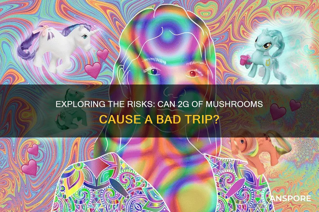can you have a bad trip on 2g of mushrooms