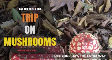 Understanding the Risks: Can You Have a Bad Trip on Mushrooms?