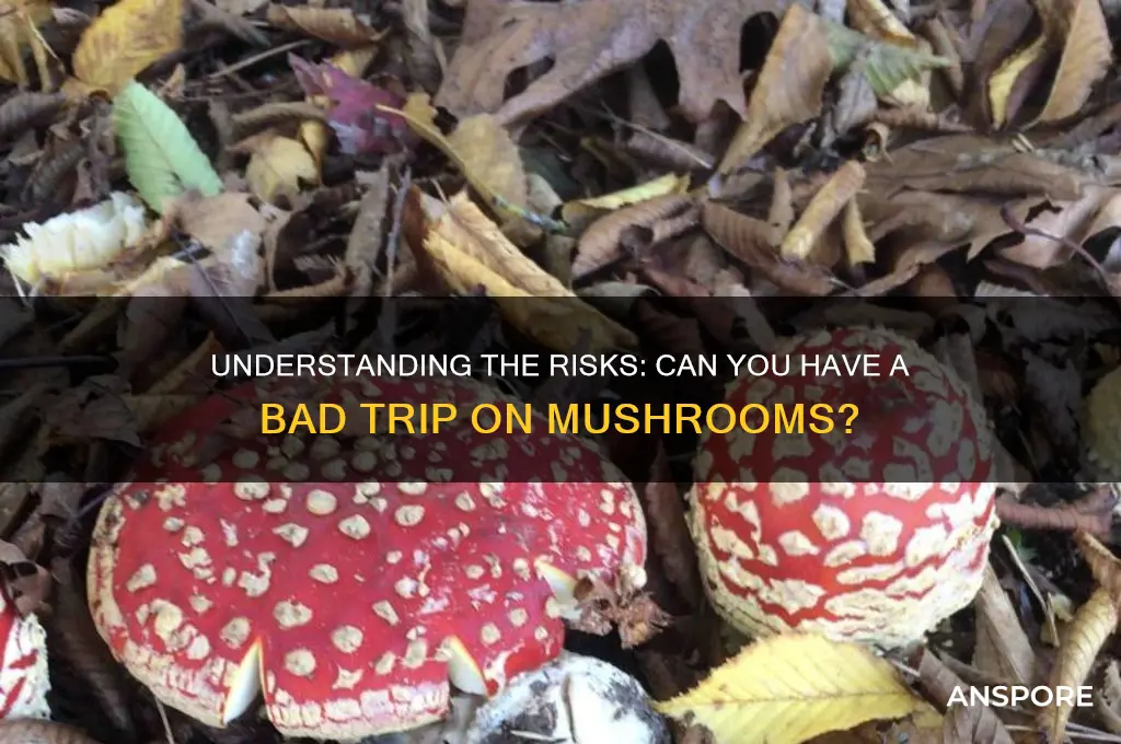can you have a bad trip on mushrooms