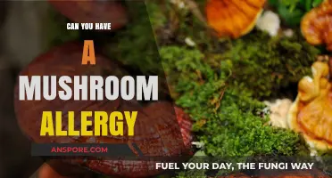 Mushroom Allergy: Symptoms, Causes, and How to Stay Safe