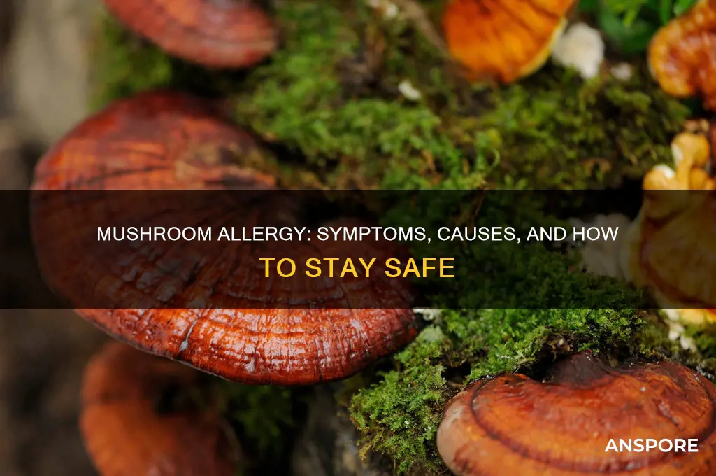 can you have a mushroom allergy