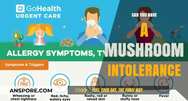 Understanding Mushroom Intolerance: Symptoms, Causes, and How to Manage It