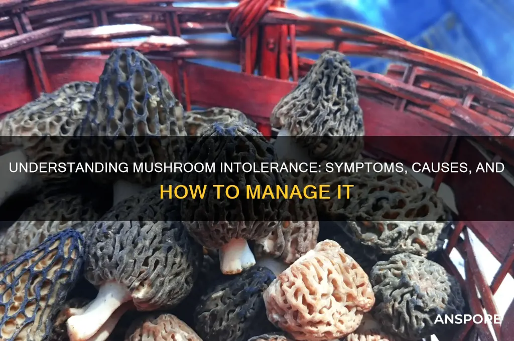 can you have a mushroom intolerance
