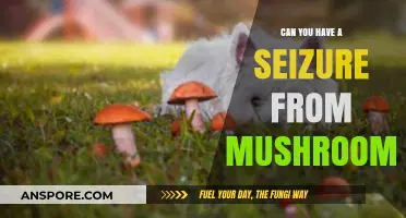 Mushrooms and Seizures: Unraveling the Risks and Realities