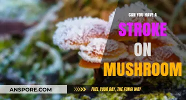 Mushrooms and Stroke Risk: Separating Fact from Fiction in Psilocybin Use