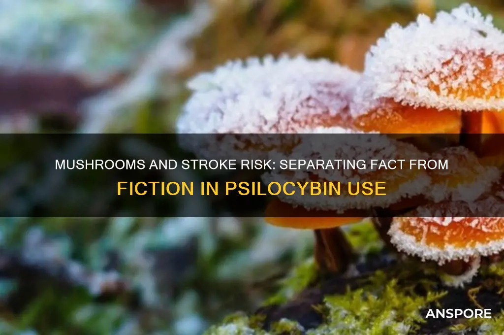 can you have a stroke on mushrooms