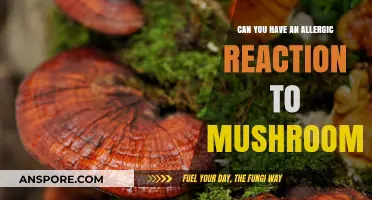 Mushroom Allergies: Understanding Risks, Symptoms, and Safe Consumption Tips