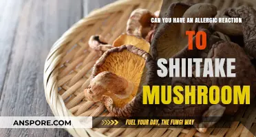 Shiitake Mushroom Allergies: Symptoms, Causes, and Prevention Tips